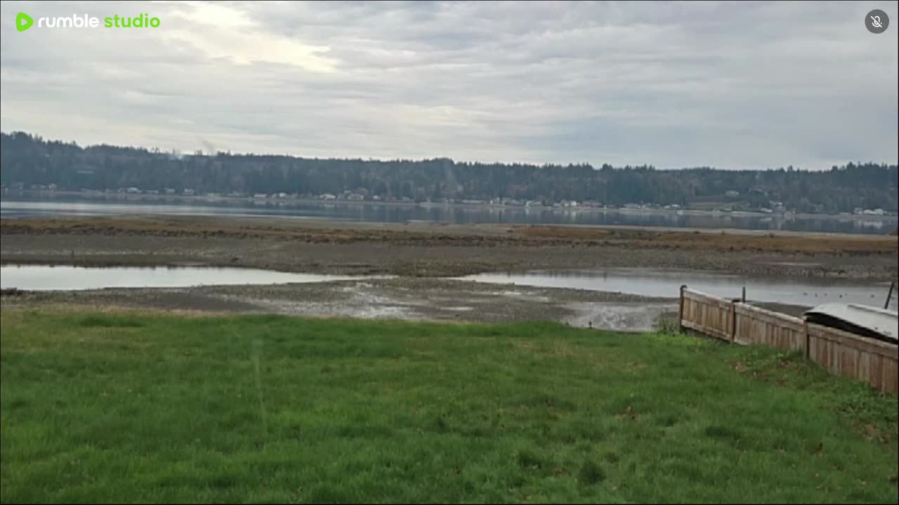 Calm gray day on the water