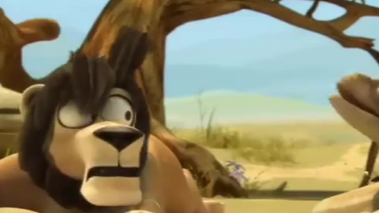 Lion Funny video 🦁🦁🦁🦁🦁🦁😂😂😂😂😂😂😂😂😂😂😂😂😂😂 #viral #trending #explorepage #explore