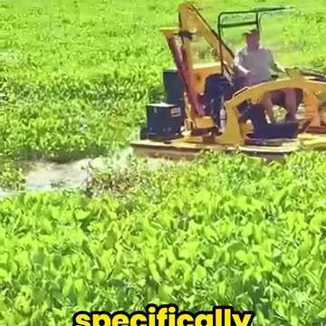 This Excavator Can Revive a Neglected Pond in Minutes!