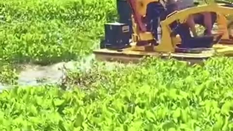 This Excavator Can Revive a Neglected Pond in Minutes!