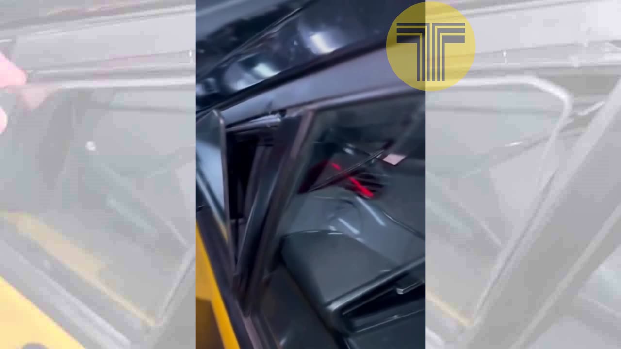 Los ladrones de taxis “delicados”