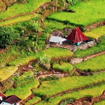 When in Ifugao, the Mayoyao Rice Terraces are definitely worth a visit!