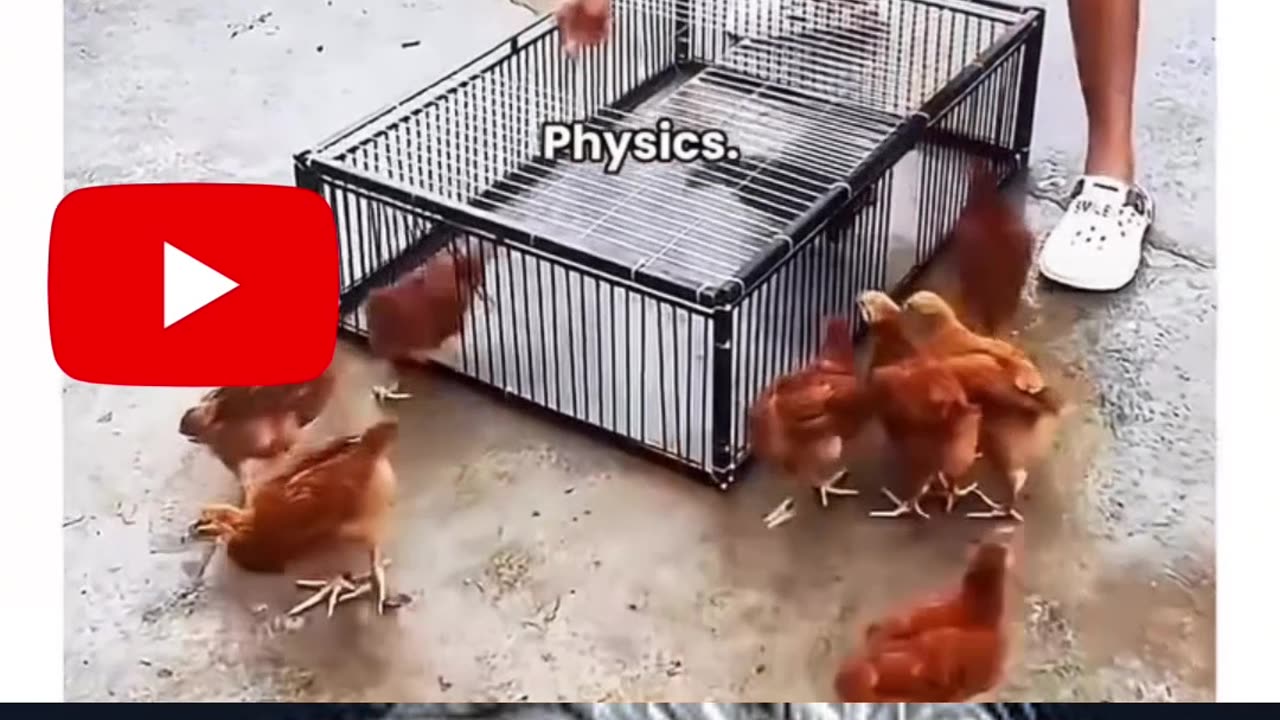 ⚡ Amazing Physics Experiments You Can Try at Home! 🔬 #physicsexperiments #funphysics #physicsshorts
