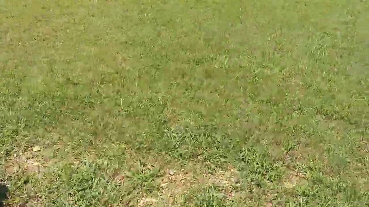 My third vlog from YouTube