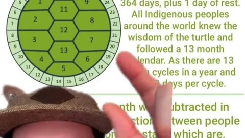 Turtles, Tortoises, and the Lunar Calendar