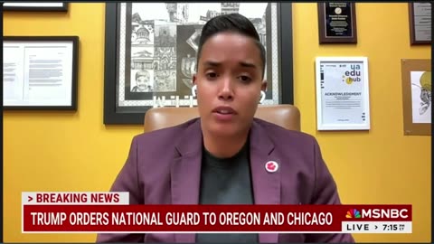 MSNBC Turns Chicago Alderperson, Man Running From ICE, & Armed Woman Who Rammed Agents Into Victims
			