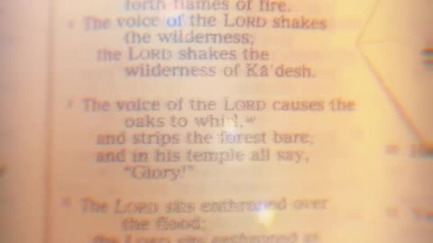 Psalm 29 THE VOICE OF GOD IN A GREAT STORM ✊🏿🧿🗣️👼🏿