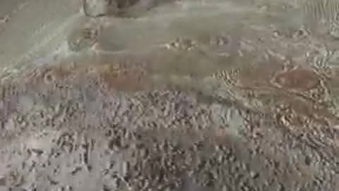 Unlocking the Mystery of Life - Intelligent Design