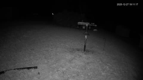 Bird Feeder in Western Maryland USA