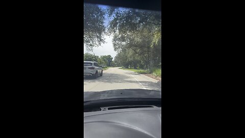 Bald Eagle Naples Florida