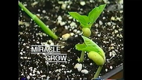 Magnetic Effect on Plants (1996 HUGE NEWS AND AS USUAL BURIED FROM THE MASSES)
