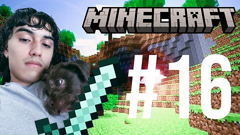 Struggling To Get Rabbits (Minecraft #16)