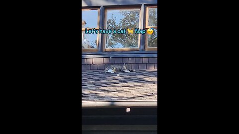 Let's take a nap 🥱😴