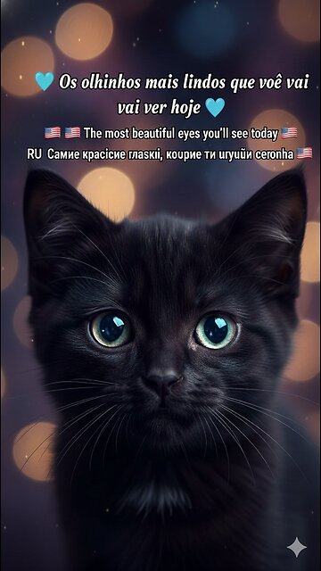 ✨ The Most Beautiful Eyes You'll See Today! 😻