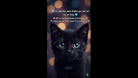 ✨ The Most Beautiful Eyes You'll See Today! 😻