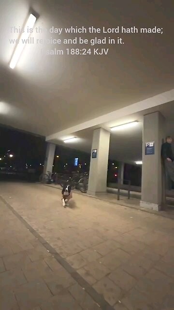 Ask and Ye Shall Receive That Your Joy May Be Full