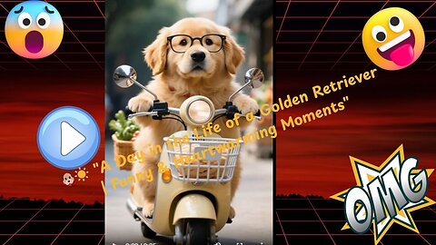 🐶☀️ "A Day in the Life of a Golden Retriever | Funny & Heartwarming Moments"