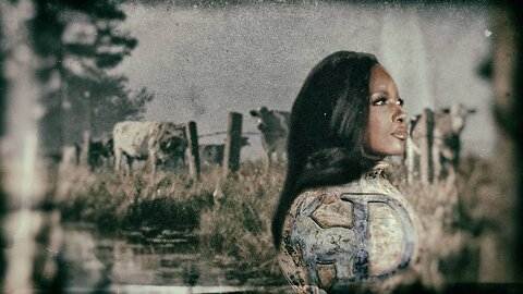 Jasmine Crockett's Crock Of Sh*t Campaign