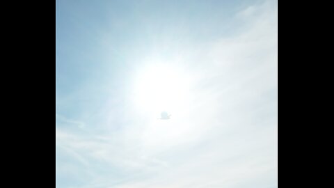 🦅🌞 Sa Ra - Ancient Egypt 🌞🦅