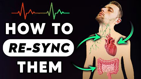 Why your digestion, heart rate and immune system are all over the place