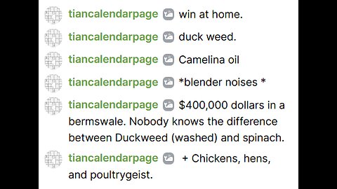 december 21 2025 -- Chicken eats duckweed