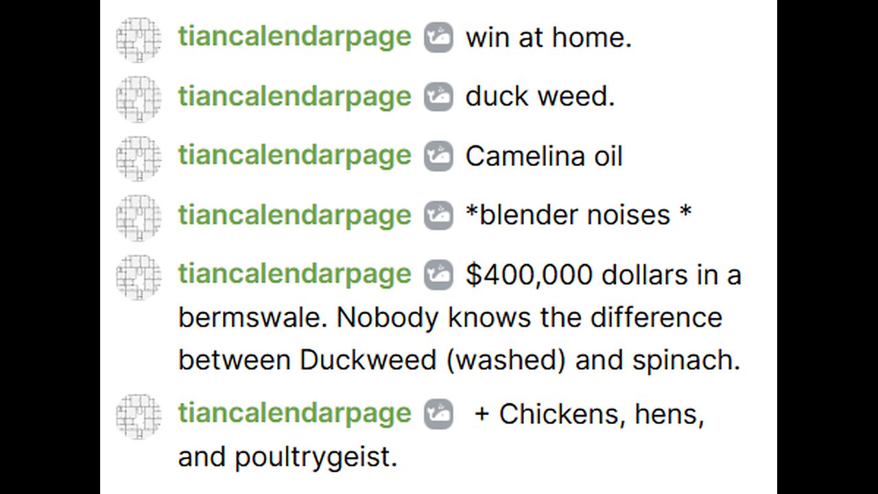 december 21 2025 -- Chicken eats duckweed