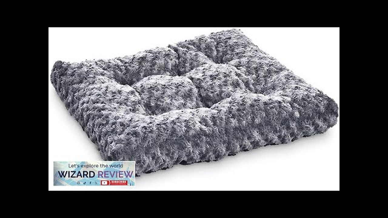 Amazon Basics Machine Washable Plush Pet Bed and Dog Crate Pad Small Review