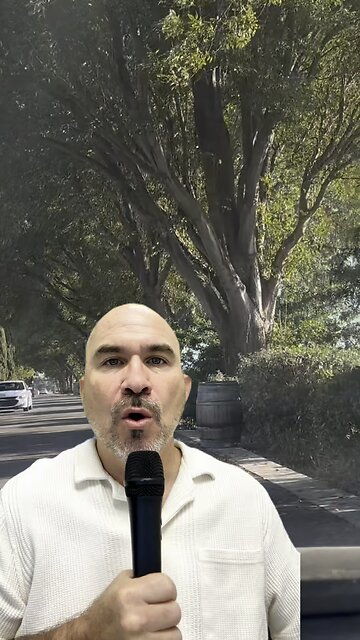 The One Number That Proves Today's Market Is Nothing Like the Frenzy You Remember