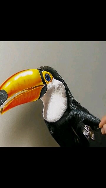 Drawing Realistic ✍️