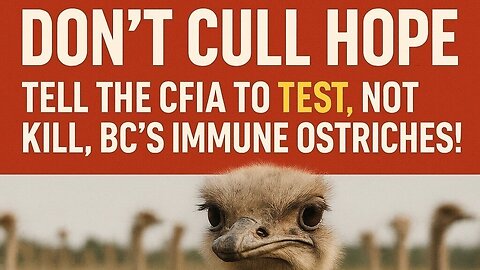 World Pirate Radio News™ (Show No.340)