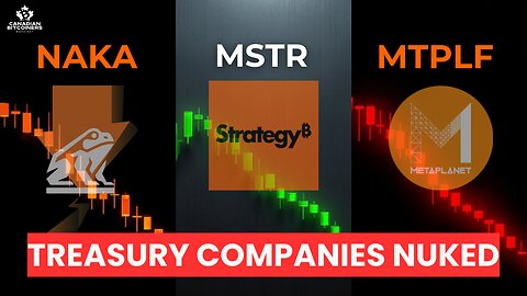 Are Bitcoin Treasury Companies Going to Survive?