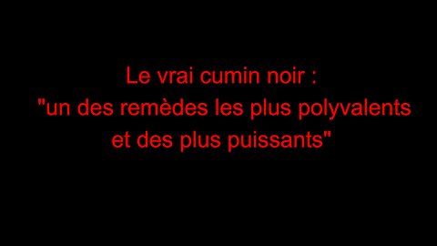 Le vrai cumin noir : "un des remèdes les plus polyvalents et des plus puissants"