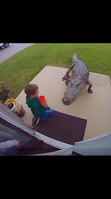 Are you ready for Halloween?