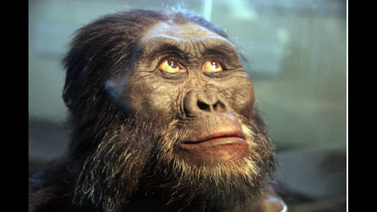 Simian Mystery Monsters