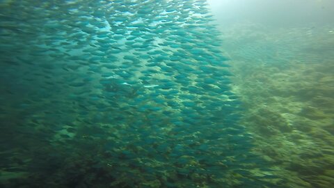 Unda da sea therapy .. #lovinglife #flying OR #diving