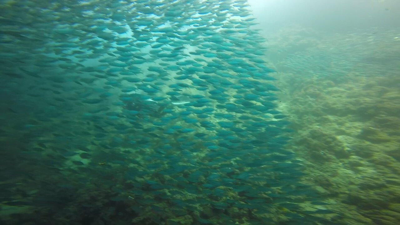 Unda da sea therapy .. #lovinglife #flying OR #diving