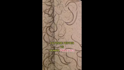 Cayenne Pepper‼️Kills Parasite in your body