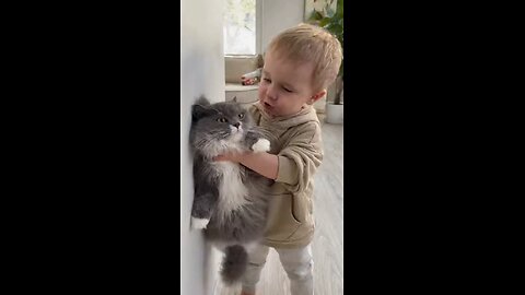 кто главный в доме