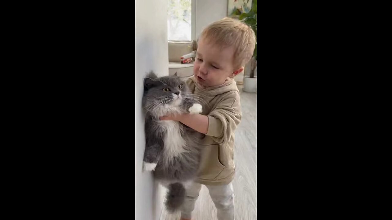 кто главный в доме