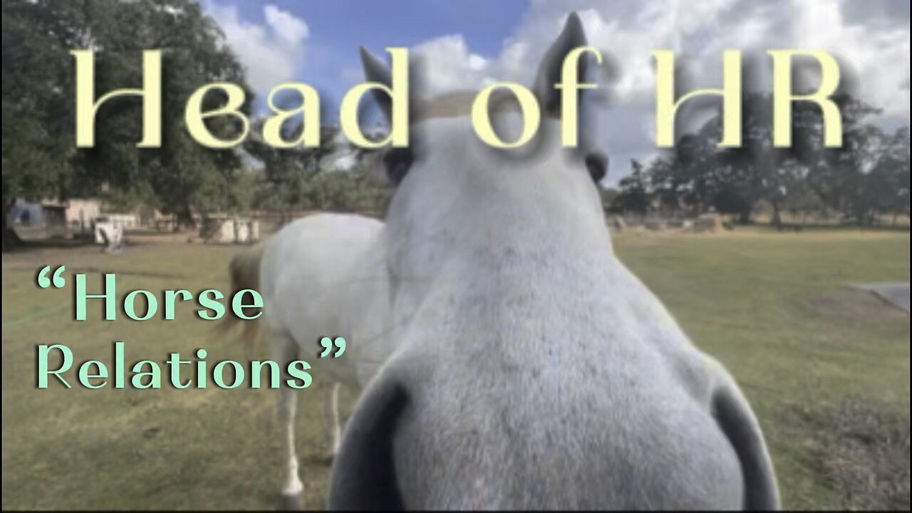 Every Barn Has One Trouble Maker… This One Has Four Legs 🐴😂