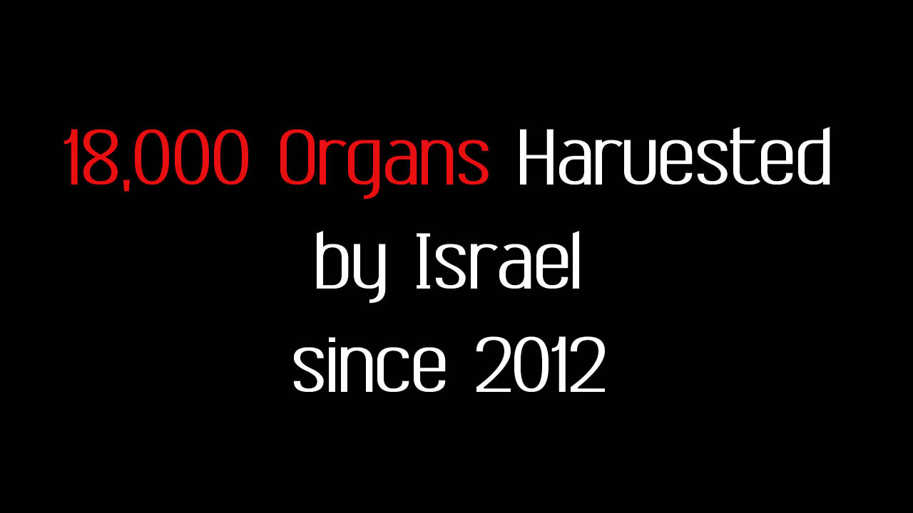 Warning: Last Minute of this Video is Horrifying