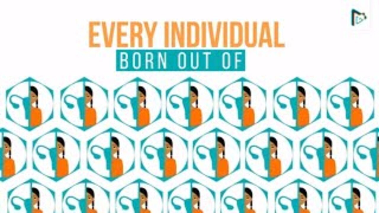 Kara Foundation Explainer Video MotionGility – Top Animated Explainer Video Company