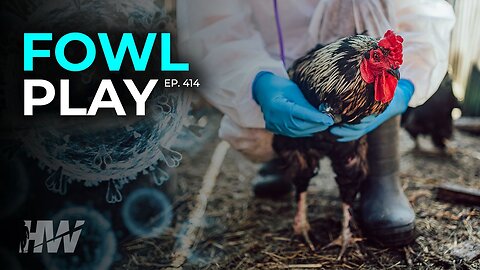 "EPISODE 414: FOWL PLAY"