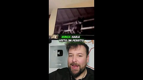 Perrito se emociona viendo una película 🤭