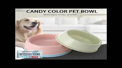 1pcs Cute multi-function candy colored plastic dog feeder supplies feeding bowl puppy Review