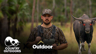 A Day in the Life of an Australian Buffalo Guide