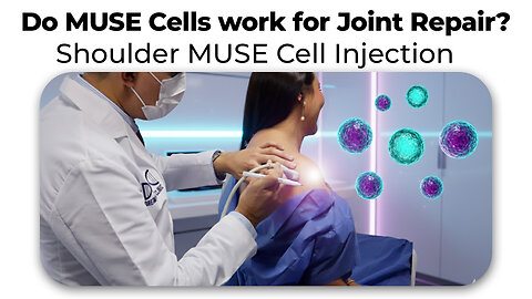 Do MUSE Cells work for Joint Repair? Shoulder MUSE Cell Injection