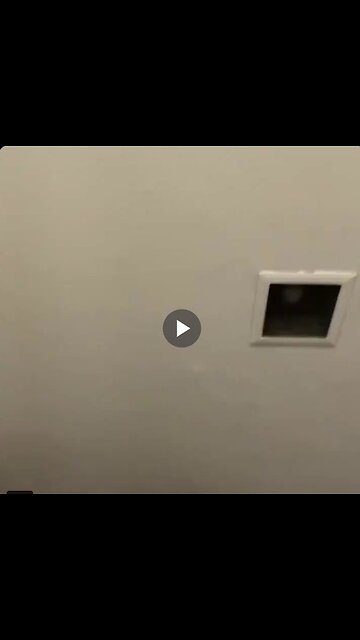 And you wonder why major companies import talent from overseas…