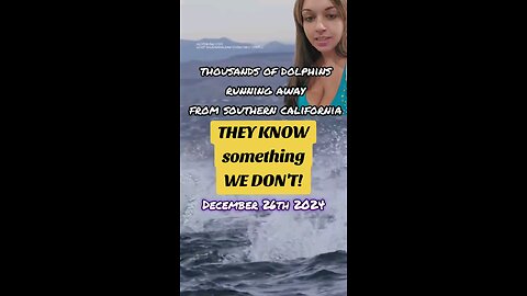 They know Something! Footage captures rare dolphin 'stampede' in Southern California #dolphin #fyp