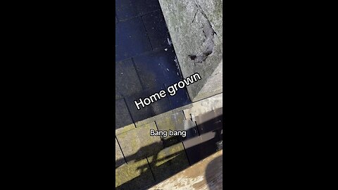 Home grown chimney